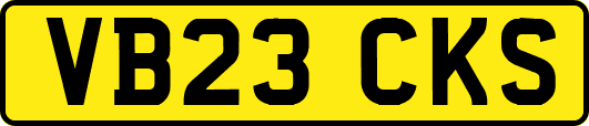 VB23CKS