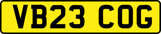 VB23COG