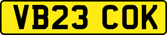 VB23COK
