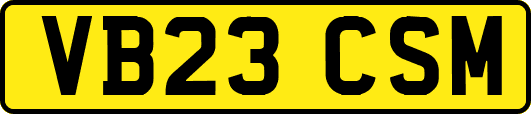 VB23CSM