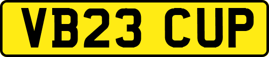 VB23CUP