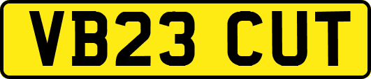VB23CUT