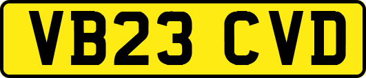 VB23CVD