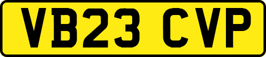 VB23CVP