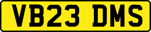 VB23DMS