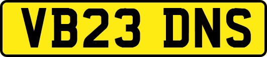 VB23DNS