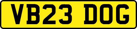 VB23DOG