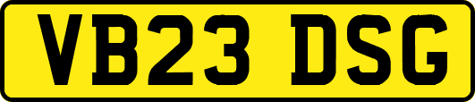 VB23DSG
