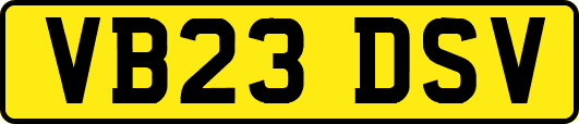 VB23DSV