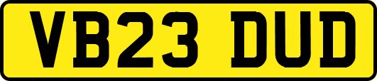 VB23DUD