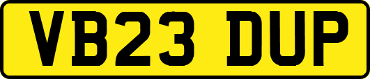 VB23DUP