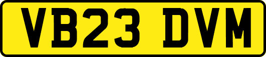 VB23DVM