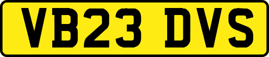 VB23DVS