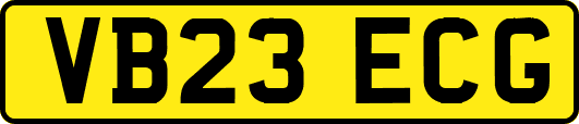 VB23ECG