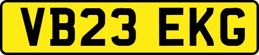 VB23EKG
