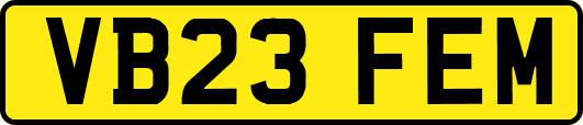 VB23FEM