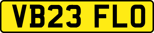 VB23FLO