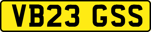 VB23GSS