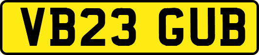 VB23GUB