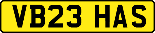 VB23HAS