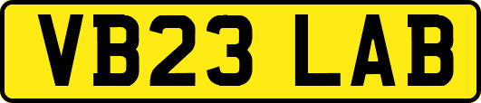 VB23LAB