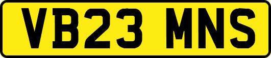 VB23MNS