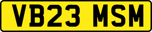 VB23MSM