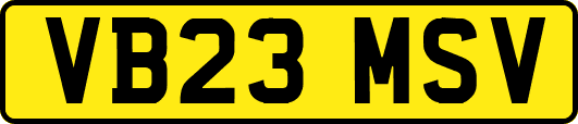 VB23MSV