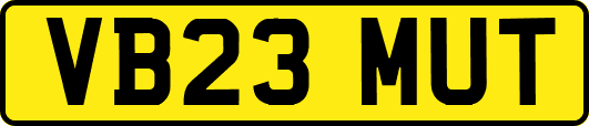 VB23MUT
