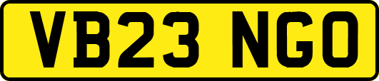 VB23NGO