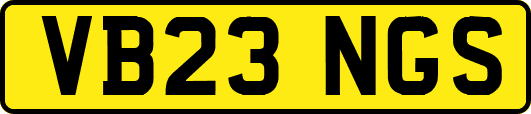 VB23NGS