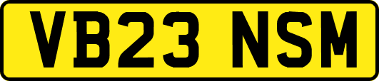 VB23NSM