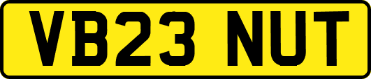VB23NUT