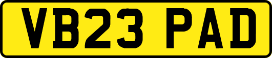 VB23PAD