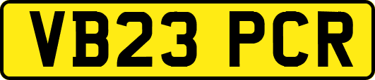 VB23PCR