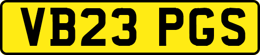 VB23PGS