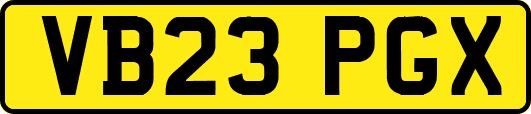 VB23PGX