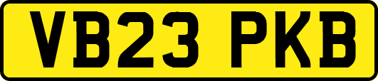 VB23PKB