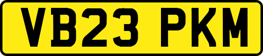 VB23PKM