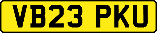 VB23PKU