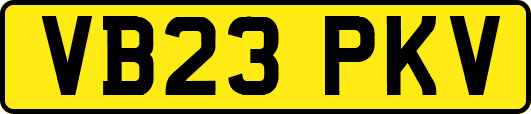 VB23PKV