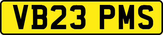 VB23PMS