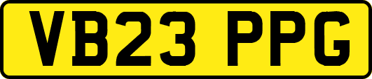 VB23PPG