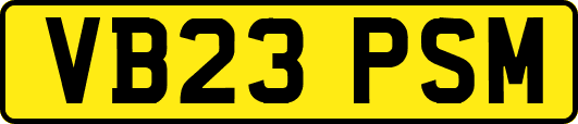 VB23PSM