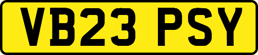 VB23PSY