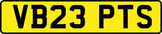 VB23PTS