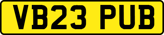 VB23PUB