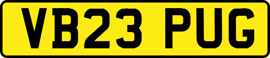 VB23PUG