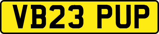 VB23PUP