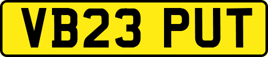 VB23PUT